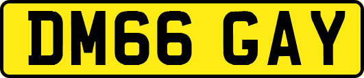 DM66GAY
