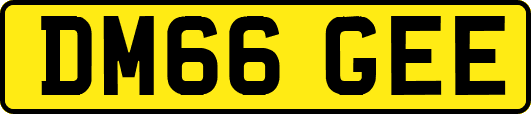 DM66GEE