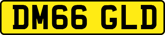 DM66GLD