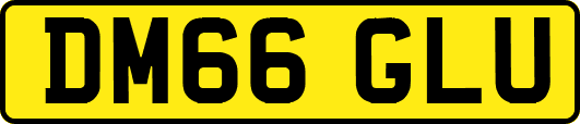 DM66GLU