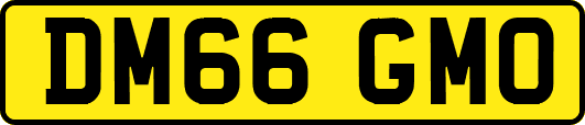 DM66GMO