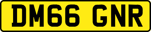 DM66GNR