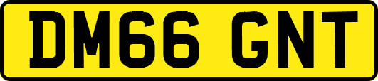 DM66GNT