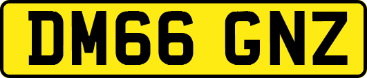 DM66GNZ
