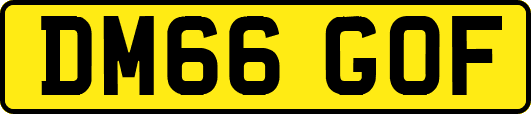 DM66GOF