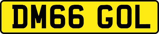 DM66GOL