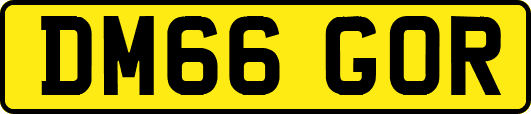 DM66GOR