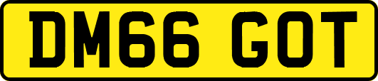DM66GOT