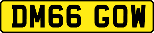 DM66GOW
