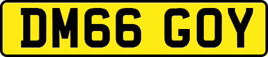 DM66GOY
