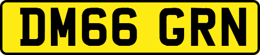 DM66GRN