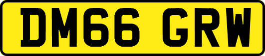 DM66GRW