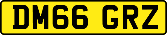 DM66GRZ