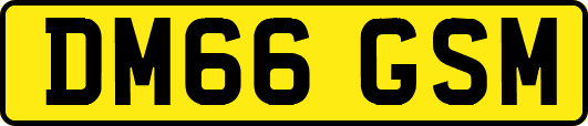 DM66GSM