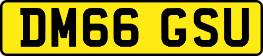 DM66GSU