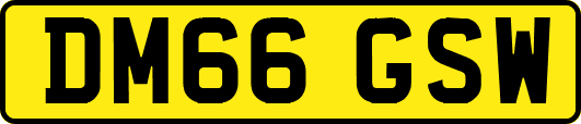 DM66GSW