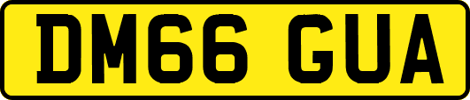 DM66GUA
