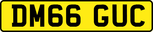 DM66GUC