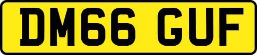 DM66GUF