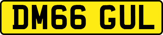 DM66GUL