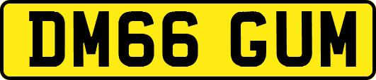 DM66GUM
