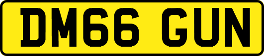 DM66GUN