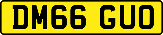 DM66GUO