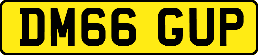 DM66GUP