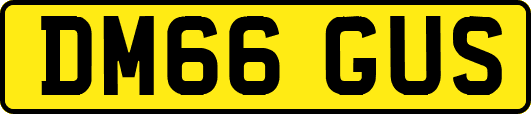 DM66GUS