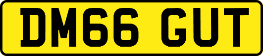 DM66GUT