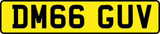 DM66GUV
