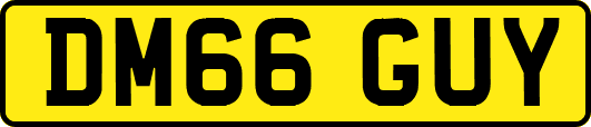 DM66GUY