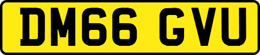 DM66GVU