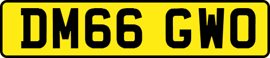 DM66GWO