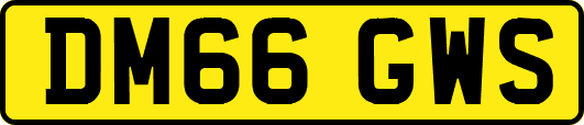 DM66GWS