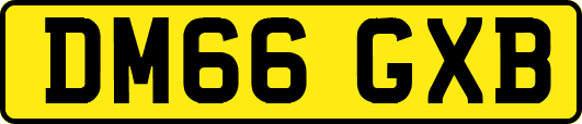 DM66GXB