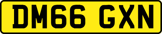 DM66GXN