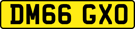 DM66GXO