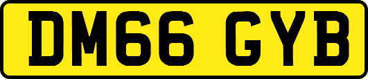 DM66GYB