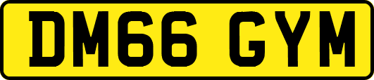 DM66GYM