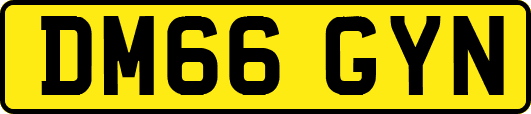 DM66GYN