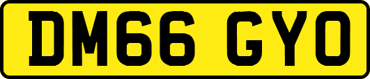 DM66GYO