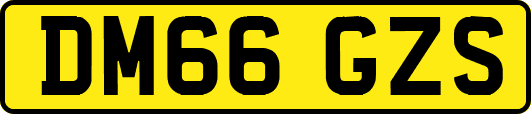 DM66GZS