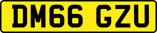 DM66GZU