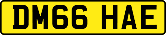DM66HAE