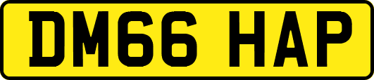 DM66HAP