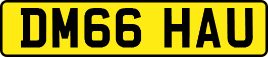 DM66HAU