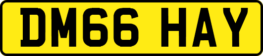 DM66HAY