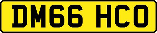 DM66HCO