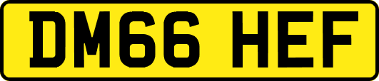 DM66HEF
